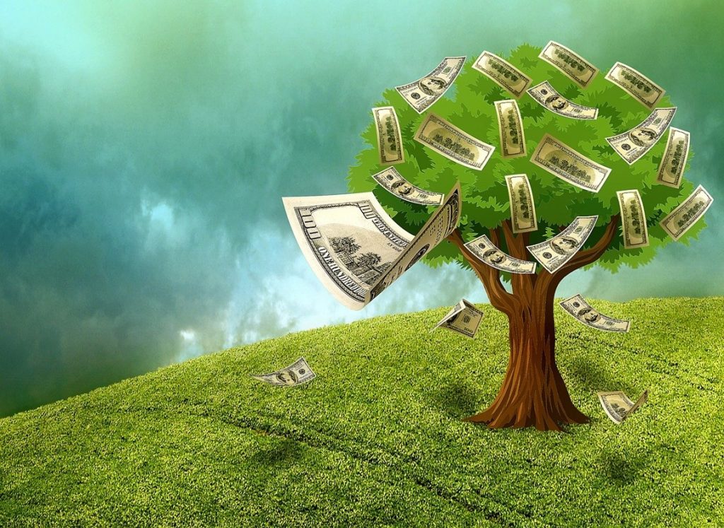 Money Tree and How to Make Better Money Related Decisions