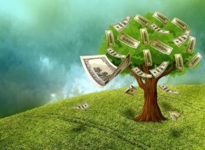 Money Tree and How to Make Better Money Related Decisions