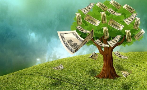 Money Tree and How to Make Better Money Related Decisions