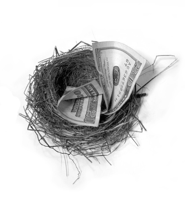 Money in a nest egg for financial security