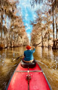 Navigating Taxes After a Big Life Change
